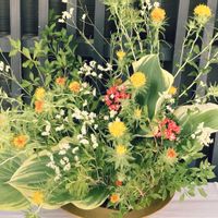 ベニバナ,花のある暮らし,お出かけ先の画像