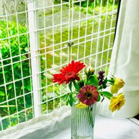 花のある暮らし,緑のある暮らし,GSに感謝。,リビング窓辺,いつも笑顔で〜〜♡の画像
