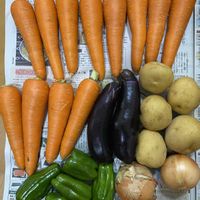 ジャガイモ,ニンジン,玉ねぎ,ピーマン,野菜詰め放題の画像