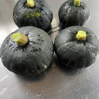 かぼちゃ,うどん県人会,家庭菜園の画像