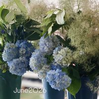 スモークツリー,ハンゲショウ,フラワーアレンジメント,ブーケ,紫陽花 アジサイ あじさいの画像