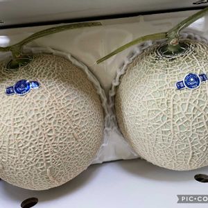 メロン,メロン,花のある暮らし,今日のお花,キュンキュン乙女倶楽部の画像