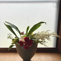 ドラセナ,ハマナス,花のある暮らし,緑のある暮らし,下北半島の画像
