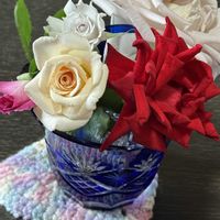 ノイバラ,バラ,挿し木,ベランダの画像