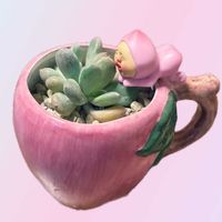桃美人,かぼちゃのお花,繋がりに感謝♡,ムッチリぷくぷくの日,6日はカエルの日の画像