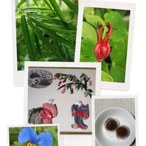 手作り,七夕,願い,美味しい生活,季節を感じる暮らしの画像