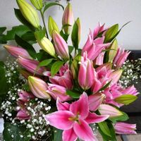 カスミソウ,プレゼント,花束,七夕,今日のお花の画像
