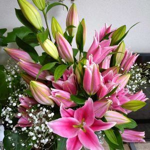 カスミソウ,プレゼント,花束,七夕,今日のお花の画像