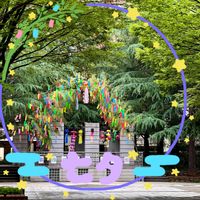 ケヤキ,ヒマラヤ杉,七夕,素敵な出会い,素敵な色合いの画像