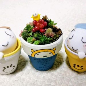 多肉植物,大好き,お気に入り♡,七夕,豆鉢の画像