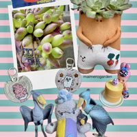 ルビーネックレス,アエオニウム ロスコフ,多肉植物,アエオニウム,ネックレスの日の画像