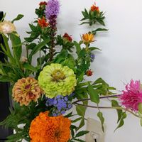 アカメガシワ,切り花を楽しむ,毎月８日は葉っぱの日,職場のキッチンフラワーの画像