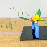 ギボウシ,ヒマワリ,小判草,ミニカーネーション,ヒぺリカムの画像