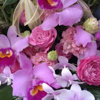 ガーデニング,お祝い花,花束 ブーケ,植え込み,大谷翔平の画像