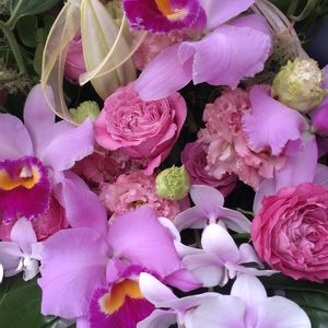 ガーデニング,お祝い花,花束 ブーケ,植え込み,大谷翔平の画像