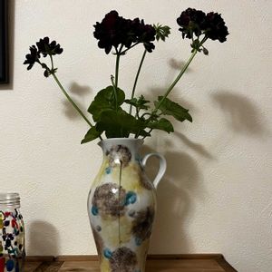 切り花,ガーデニング,カラーリーフ,玄関内側の画像