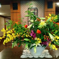 ケイトウ,シマトネリコ,ヒペリカム,ユリ,ガジュマルの画像
