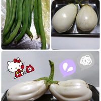 インゲン,不思議な形,プランター栽培,庭からの恵み,白茄子の画像