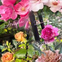 花のある暮らし,バラを楽しむ,富山支部,ばら バラ 薔薇,ラブリー♡加速中の画像