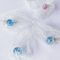 ホオズキ,透かしホオズキ,鬼灯(ほおずき),ドライフラワー,花のある暮らしの画像