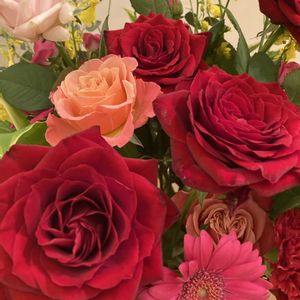 スイレン,ミニバラ・グリーンアイス,睡蓮,切り花の画像