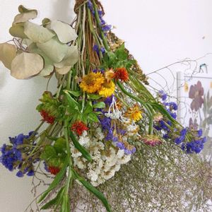 ドライフラワー,植物と暮らすの画像