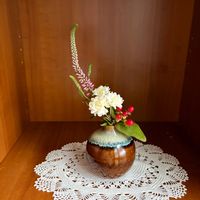 ザクロ,ザクロ,花のある暮らし,緑のある暮らし,下北半島の画像
