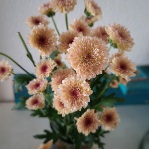 観葉植物,切り花,一輪挿し,可愛い,花瓶の画像