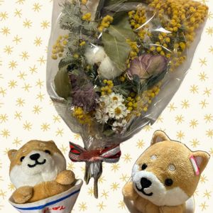 アガパンサス,ドライフラワー,ムラサキクンシラン,ワンワン祭り,繋がりに感謝♡の画像