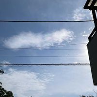 イチゴ,グラジオラス,ミニバラ,キュンキュン乙女倶楽部,ちっちゃいものクラブの画像