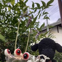 福兎耳,ワンワン祭り,るる　かまぼこ板で繋がる輪,ウサぴょん祭り,2021たにく組の画像