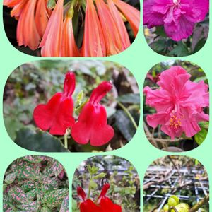 花のある暮らし,沖縄,素敵な出会いに感謝,素敵な日々,日曜日の画像