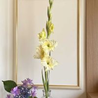 グラジオラス,ありがとう♡嵐♡,玄関の画像