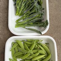 スナップエンドウ,茎ブロッコリー,北海道,札幌,家庭菜園の画像
