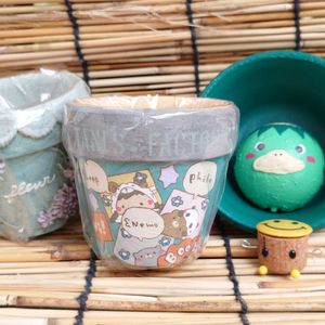 エケベリア属,花のある暮らし,多肉のある暮らし,植物のある暮らし,リメ缶・リメ鉢の画像
