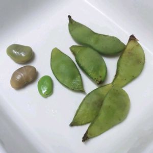 枝豆,インゲン,パンダ菜豆,プランター野菜,収穫の画像