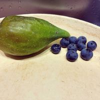 ブルーベリー,イチジク,果樹,庭の画像