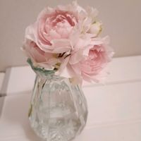 グリーンアイス,金木犀,ダフネ,柿,パートナーの画像