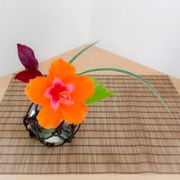 ハイビスカス,ポトスライム,ミスカンサス,シマムラサキツユクサ,切り花の画像