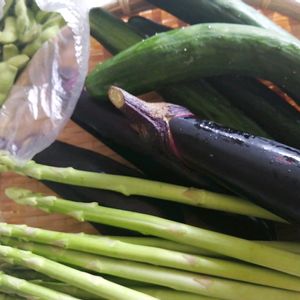 アスパラ,枝豆,茄子,きゅうりの画像