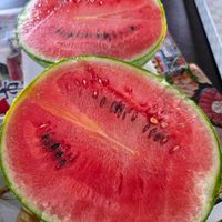 スイカ,ブラックベリー,メロン,ミョウガ,畑の恵みの画像