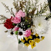カーネーション,キク,スプレーマム,ソリダコ,仏壇の供花の画像