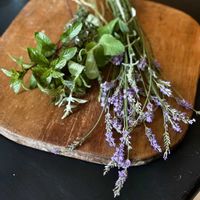 タイム,ミント,ラベンダー,ハーブ,花のある暮らしの画像
