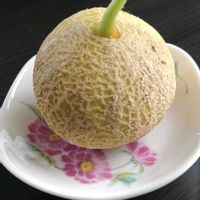 メロン,ころたん,無農薬栽培,実りに感謝,家庭菜園の画像