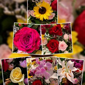 薔薇,百合,ひまわり,花散歩,お祝い花の画像