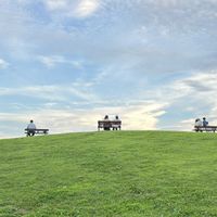 センリョウ,センリョウ,マンリョウ,マンリョウ,草原の画像