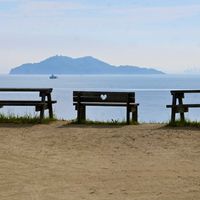 サンパラソル,赤い花,火曜ベンチ,真っ赤な火曜日の画像