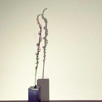 ねじばな,ねじばな,一輪挿し,花瓶,山野草の画像