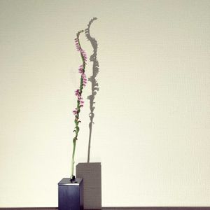 ねじばな,ねじばな,一輪挿し,花瓶,山野草の画像
