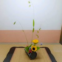 ギボウシ,ヒペリカム,ヒマワリ,ルリタマアザミ,コバンソウの画像